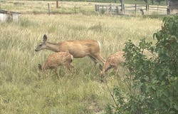 47561 Private Rd 30, Limon, CO 80828