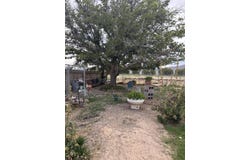 709 2nd Street, Socorro, NM 87801