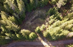 498 Revenue Gulch Rd, Silverton, ID 83867
