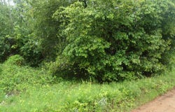 2120 Highway 261 S, Wedgefield, SC 29168
