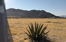 17575 Century Plant Road, Apple Valley, CA 92307