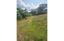 20671 Hwy 195, Double Springs, AL 35553