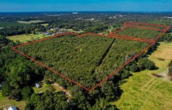 205 AVENUE NE, WILLISTON, FL 32696