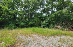702 Dixie Circle, Horseshoe Bend, AR 72512