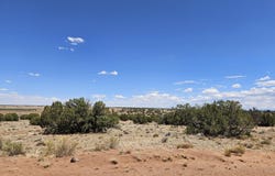 27 N 9183, Concho, AZ 85924