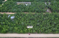 USINA Avenue, Interlachen, FL 32148