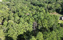 62011 Rebel Road, Vivian, LA 71082