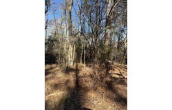 TBD Swansea Road tract a, Swansea, SC 29160