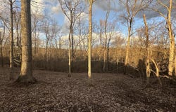 0 Lot #6 Nicholas Ridge Road, Verona, KY 41092