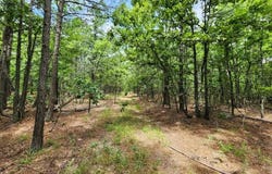 4 TBD Bear Creek 40 Acres, Talihina, OK 74571