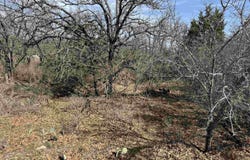 Lot 283-289 Aspermont Drive, Kingsland, TX 78639