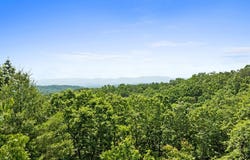 Osceola Dr - Lot #8, Ellijay, GA 30540