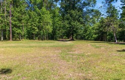 210 WINDING CREEK Road, Quincy, FL 32351