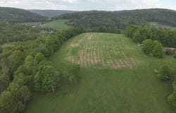 0 Route 4008, Forksville, PA 18616