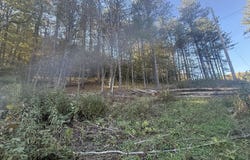Loucks Road, Galeton, PA 16922