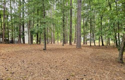 103 Greenbriar Lane lot: 133, Washington, NC 27889