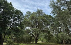 Tbd NW 67TH BOULEVARD, ALACHUA, FL 32615