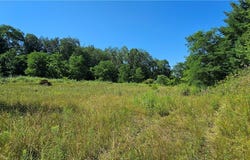 Hilton Road, Dryden, NY 13053