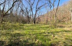 Brush Creek  RD, Noel, MO 64854