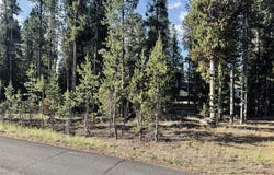 528 Grayling Avenue, West Yellowstone, MT 59758