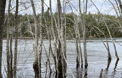 Grindstone Road lot: 5-9, Medway, ME 04460