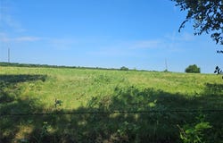 Tbd CR 4841 Tract 2, Leonard, TX 75452