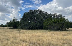 County Rd 220, Eldorado, TX 76936