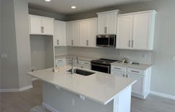620 POTHOS STREET, APOPKA, FL 32703