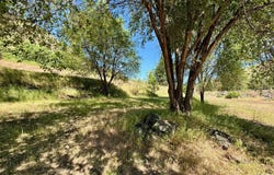115 Helm Lane, Pollock, ID 83547