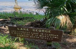 202 SE 4TH STREET, GEORGETOWN, FL 32139