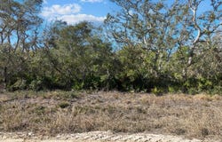 Fiddlers Way, Keaton Beach, FL 32348