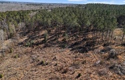 5 AC NASTURTIUM, Ore City, TX 75683