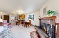1730 Raven Ave, Estes Park, CO 80517