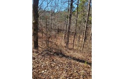 Polk Road 197, Mena, AR 71953