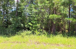 0 Shoreline, Kingsland, GA 31548