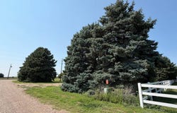 43055 Foxtail Road, Ainsworth, NE 69210