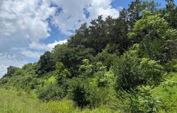 O Liberty Pike, Franklin, TN 37067