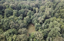 2410 Rodney Rd, Lorman, MS 39096