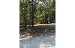 Holly Grove Lane lot: Parcel B, Bracey, VA 23919