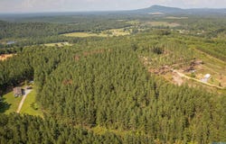 5.8 Pine Hills Way, Piedmont, AL 36272