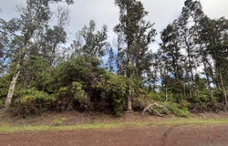 HILO ST, Pahoa, HI 96778