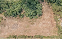 Isaac Road, Claxton, GA 30417