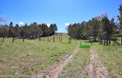555 Glenarm Avenue, Collbran, CO 81624