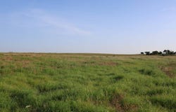 N 2550 Rd E 0920 Rd, Arapaho, OK 73620