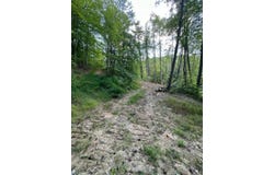 7000 KY 7, Sandy Hook, KY 41171