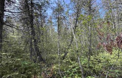 Vega, Hermansville, MI 49847