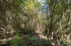 CEDAR STREET lot: 2-A, IRONDALE, AL 35210