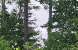 LOT #26 HIGHLAND SHORES, Jasper, AL 35503
