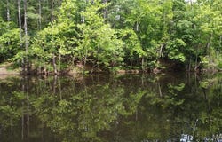 16477 State Highway A, Sullivan, MO 63080