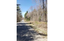 311 Stewart Landing Rd, Stratford, NY 13470